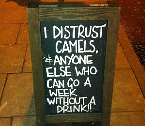 I distrust camels