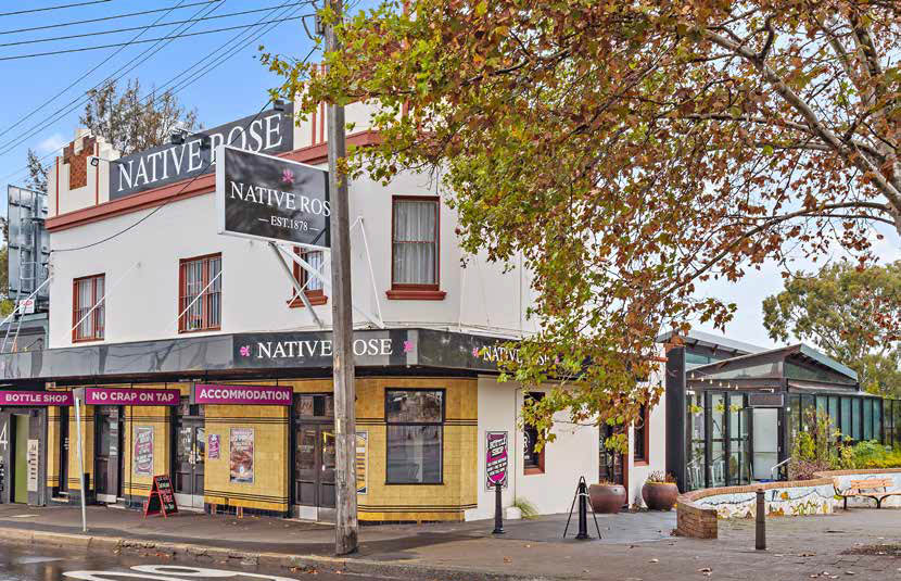 FIRST-TIMERS PLUCK ROSE OF ROZELLE