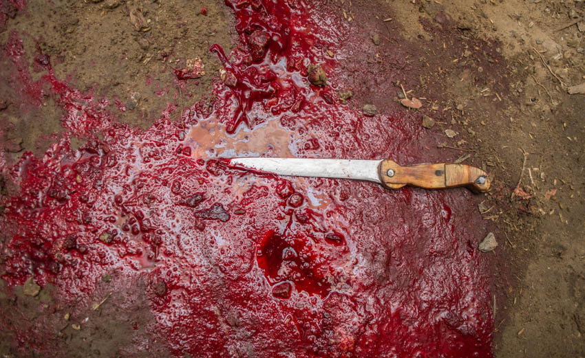 bloody knife crime scene